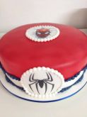 Homem Aranha - 2,5Kg